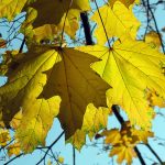 hd-masaustu-fotograflari (27)