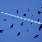 hd-masaustu-fotograflari (28)