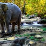 hd-masaustu-fotograflari (31)