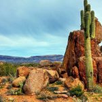 hd-masaustu-fotograflari (34)