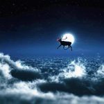yilbasi-christmas-fotograflari-2016 (10)