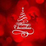 yilbasi-christmas-fotograflari-2016 (16)