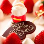 yilbasi-christmas-fotograflari-2016 (4)