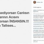 ibrahim-tatlises-instagram-da-kime-gonderme-7941161_1208_m[1]