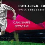 beluga