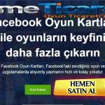 facebook-oyun-pin