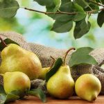 hamilelikte-armut-yemek-ve-gebe-ile-bebege-faydalari-1[1]