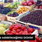 iste-rusya-ya-satabilecegimiz-urunler_x_8846058_5197_z11
