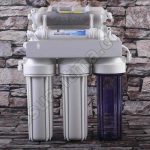 royal_green_su_aritma-arka-1200×12001