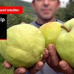 bir-araya-gelip-bunu-konustular_x_8999456_794_z51