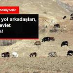 kacakcilarin-yol-arkadaslari-40-gundur-devlet_x_8999292_8050_z41