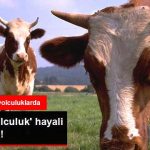 konforlu-yolculuk-hayali-seneye-kaldi_x_9095001_7467_z21
