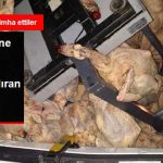 suphe-uzerine-durdurulan-kamyonette-mide_x_9093513_358_z51