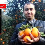 alici-bulamayinca-bedava-vermeye-basladi_9151264_9330_z5[1]