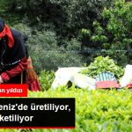 dogu-karadeniz-de-uretiliyor-85-ulkede_9185091_1986_z2.jpg