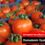 domatesin-fiyati-tavan-yapti_9135773_2972_z3.jpg