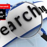 google-a-turk-rakip-geliyoo_9170043_5297_z5.jpg