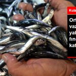 ortadiregin-vazgecilmezi-el-yakiyor-kilosu_9152344_5448_z7.jpg