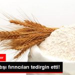 suni-fiyat-artisi-firincilari-tedirgin-etti_9135290_9273_z1.jpg