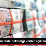 turkiye-nin-merakla-bekledigi-veriler-aciklandi_9150999_6313_z1.jpg