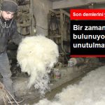 bir-zamanlar-her-evde-bulunuyordu-simdi_9306406_9881_z6.jpg