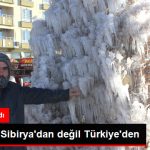 bu-manzara-sibirya-dan-degil-turkiye-den_9222444_5473_z1.jpg