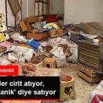 depoda-fareler-cirit-atiyor-pazarda-organik_9306683_2224_z2.jpg