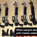 olum-saciyor-ama-onlem-alan-yok-cezasi-sadece-85_9231703_1921_z3[1]