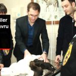 turk-ogrenciler-gelistirdi-yavru-hayvanlara_9266940_3530_z5.jpg