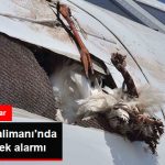 ataturk-havalimani-nda-alarm-verildi-pistler_9424011_2231_z2.jpg