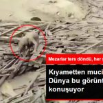kiyametten-mucize-kurtulus-dunya-bu-goruntuyu_9384259_4774_z3.jpg