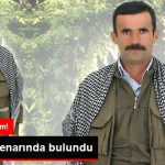 van-da-supheli-olum-cesedi-yol-kenarinda-bulundu_9343641_4770_z1.jpg