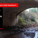 unlu-yildizin-kizi-kopru-altinda-yasam_10808102_1490_z5[1]