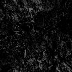 home_cover[1]