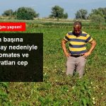 Bursa'nın Ovalarında Ürünler Kurudu