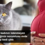 Talihsiz Kadının İstenmeyen Gebeliğinin Sorumlusu Beslediği Kedi Çıktı