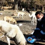 Sincan'da Korona Virüs Tedbirleri